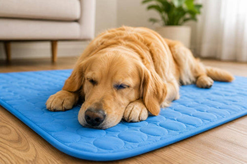 Ice Silk Cooling Mat for Dogs & Cats