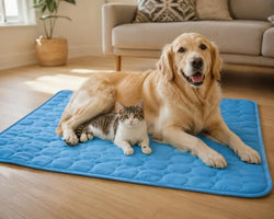 Ice Silk Cooling Mat for Dogs & Cats