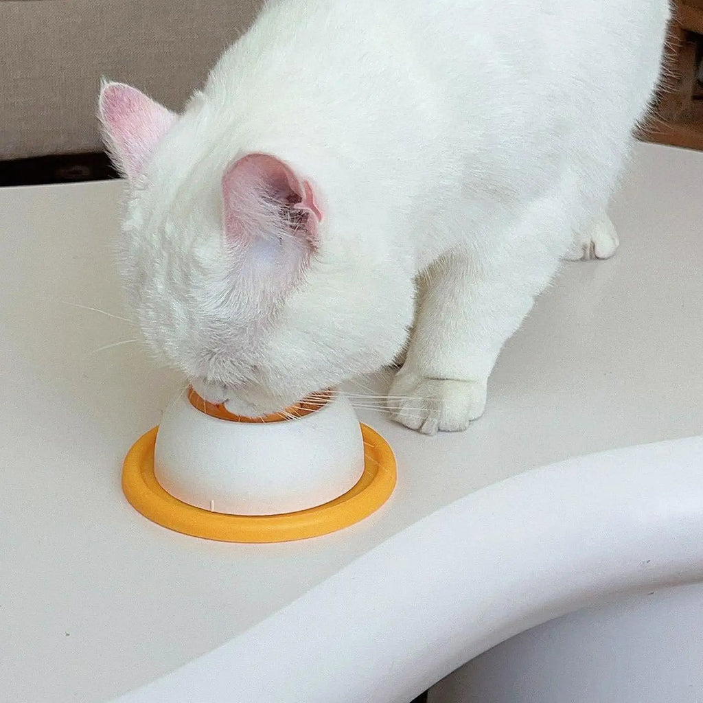 Interactive Slow Feeder Licking Bowl
